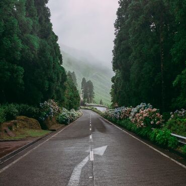 azores sao miguel nature landscape roadway