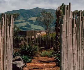 azores nature landscape trail mountains